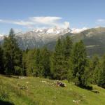 Dolomiti del Brenta